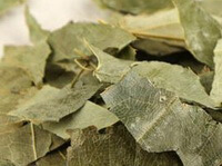Epimedium sagittatum:herbe de feuilles préparées