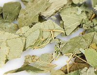 Epimedium wushanense:erba di foglie preparate