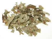 Herba Epimedii:foto dell erba