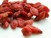Lycium barbarum:dried wolfberry fruit