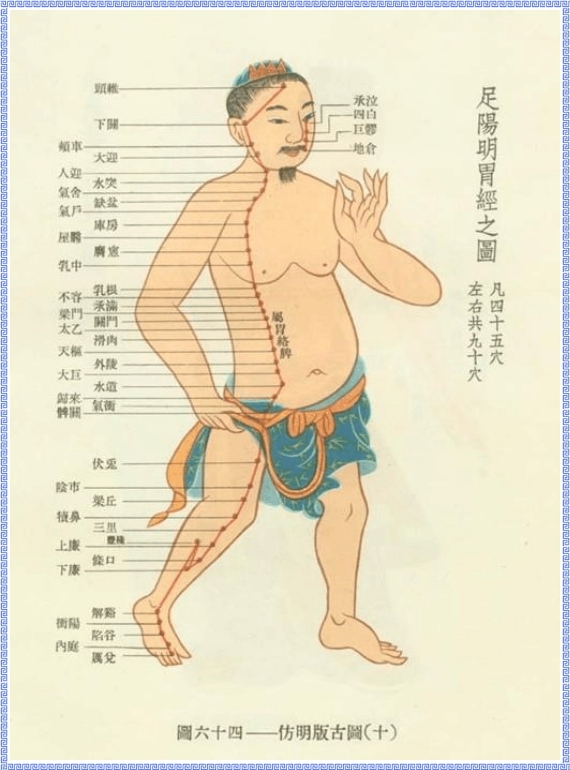 Graph of Stomach Meridian of Foot Yangming