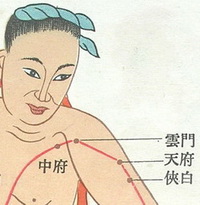 portrait of LU1 to LU4:zhongfu,yunmen,tianfu,xiabai.