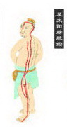 bladder meridian of foot taiyang Icon