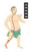 stomach meridian of foot yangming Icon