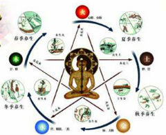 Theory of Sense Organs and Structures