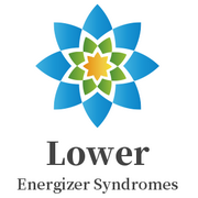 Syndromes of the Lower Energizer.