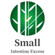 Small Intestine Excess Heat Syndrome.