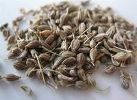 Anise:herb photo of aniseseed