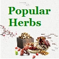 Popular Herbs.