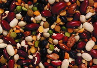 natural source of lysine:beans
