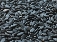 natural source of lysine:black sesame