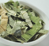 lotus leaf tea