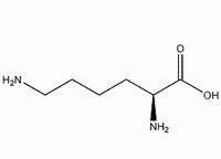 L-lysine:moleculare structure