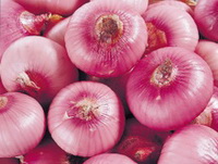 Allium cepa:purple onions