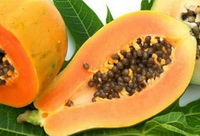 Papaya:fruit pulp
