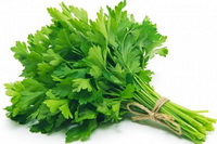 parsley:fresh vegetable