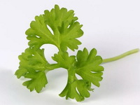 parsley:leaf