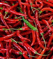 dried red pepper:herb photo