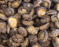 shiitake mushroom:dried herb