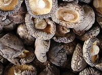 Shiitake Mushroom dried