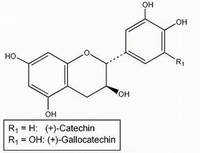 Catechin Gallocatechin