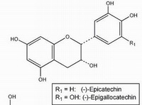 Epicatechin Epigallocatechin