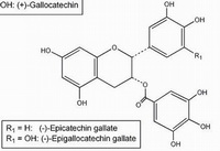 Epicatechin Gallate Epigallocatechin Gallate