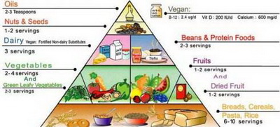 Follow the better Pyramid