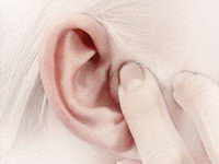 Introduction of massage ear.