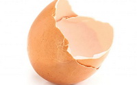 Whats the use of an egg shell.