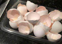 Introduction of eggshell