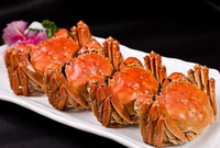 Crab 06