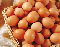 Eggs 04