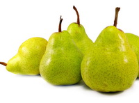 Introduction of Pears