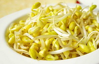 Soy bean sprouts