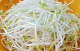 Rootless bean sprouts