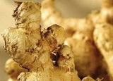 Rotting ginger