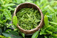 The health benefits and functions of green tea.