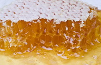 Introduction of honey
