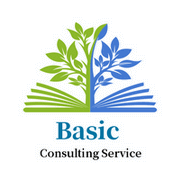 Basic Consulting Service