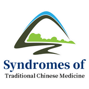 Consulting For Syndromes of Traditional Chinese Medicine.